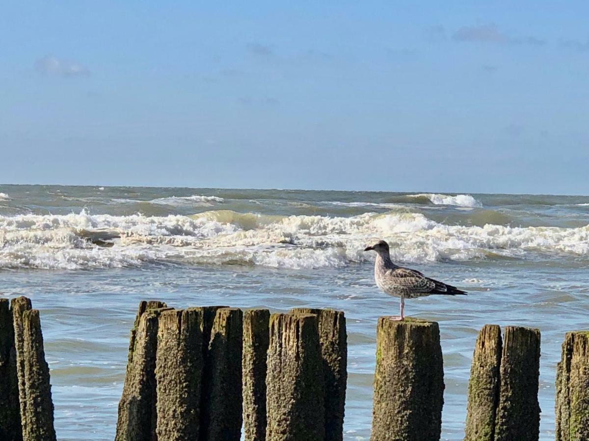 Appartementen De Strandloper Bergen aan Zee Zewnętrze zdjęcie